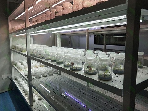 达川植物组织培养实验室设计建设方案